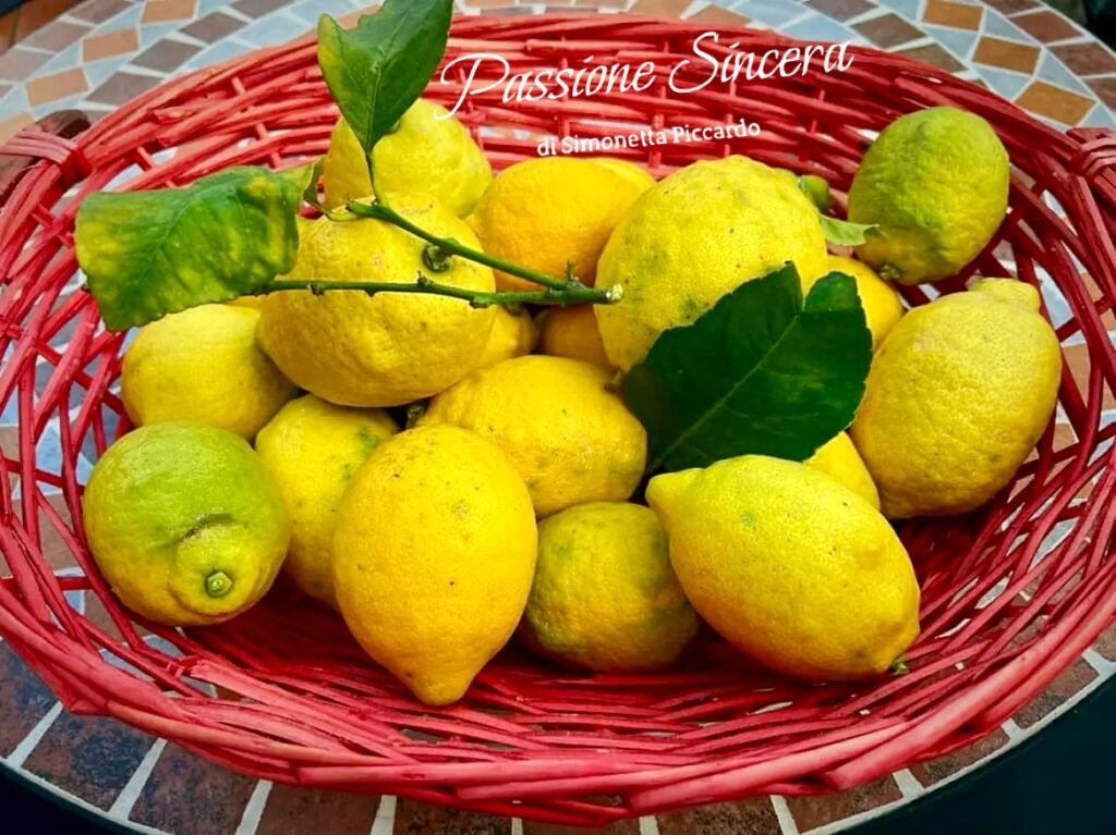 cesta di limoni del mio raccolto, utilizzati per preparare il latte dolce fritto